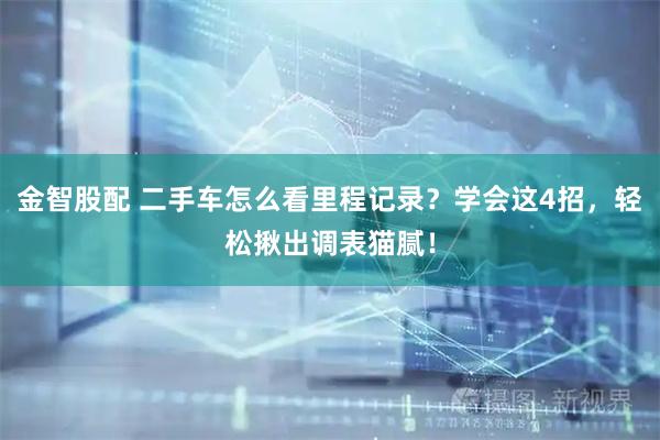 金智股配 二手车怎么看里程记录？学会这4招，轻松揪出调表猫腻！
