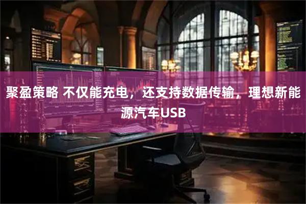 聚盈策略 不仅能充电，还支持数据传输，理想新能源汽车USB