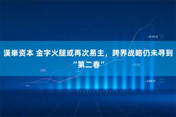 漢崋资本 金字火腿或再次易主，跨界战略仍未寻到“第二春”