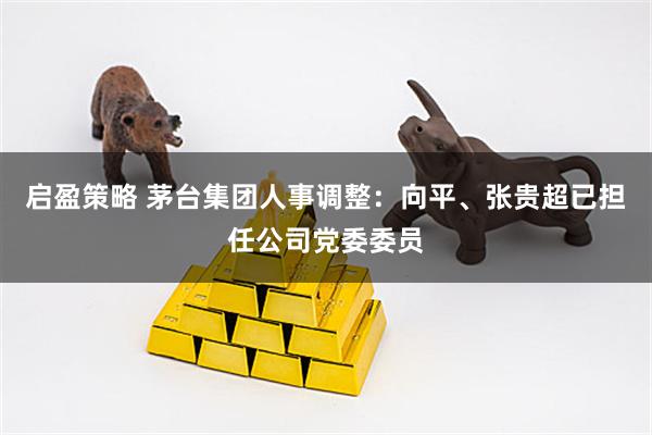 启盈策略 茅台集团人事调整：向平、张贵超已担任公司党委委员