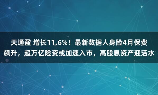 天通盈 增长11.6%！最新数据人身险4月保费飙升，超万亿险资或加速入市，高股息资产迎活水
