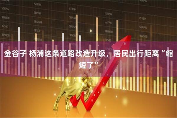金谷子 杨浦这条道路改造升级，居民出行距离“缩短了”