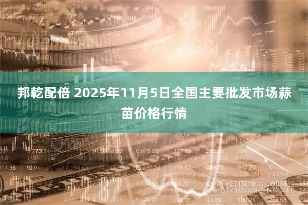 邦乾配倍 2025年11月5日全国主要批发市场蒜苗价格行情
