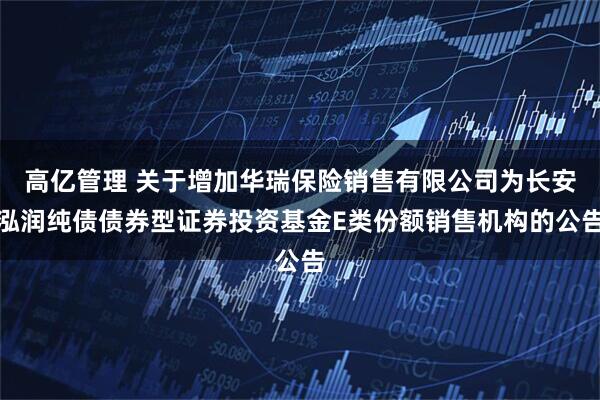 高亿管理 关于增加华瑞保险销售有限公司为长安泓润纯债债券型证券投资基金E类份额销售机构的公告
