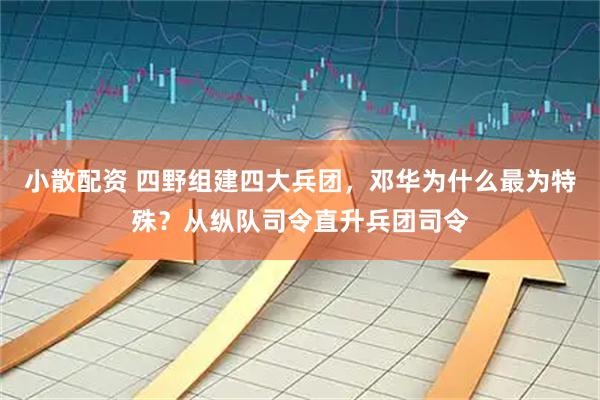 小散配资 四野组建四大兵团，邓华为什么最为特殊？从纵队司令直升兵团司令