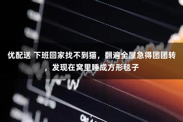 优配送 下班回家找不到猫，翻遍全屋急得团团转，发现在窝里睡成方形毯子