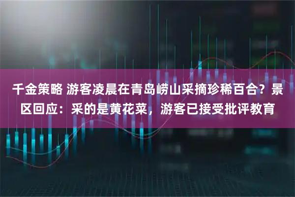 千金策略 游客凌晨在青岛崂山采摘珍稀百合?景区回应:采的是黄花菜,游客已接受批评教育